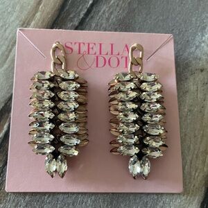 Gorgeous Holiday ready earrings